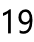 19